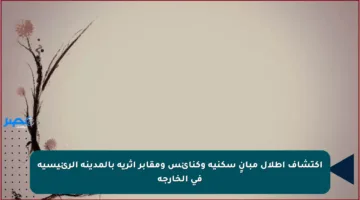 اكتشاف أطلال مبانٍ سكنية وكنائس ومقابر أثرية بالمدينة الرئيسية في الخارجة